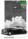 Jaguar 1953 0.jpg